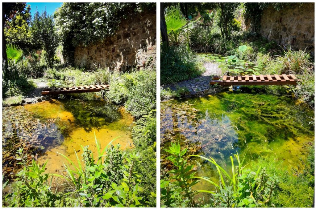 Il Laghetto del Centro di Entomologia - Piombino (LI)